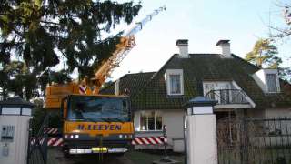 bomen rooien met kraan in Vught hovenier Tilburg